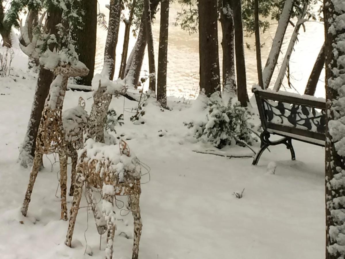 Romantic Riverside Suite In Elora Exterior photo